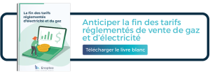 Télécharger le livre blanc "Anticiper la fin des tarifs réglementés de vente de gaz et d'électricité"