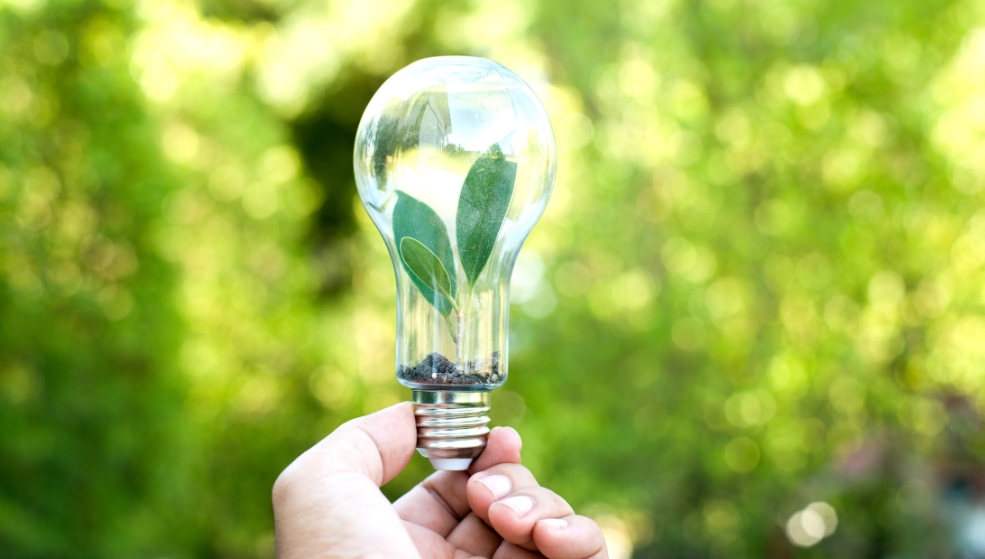 Comprendre et atteindre la sobriété énergétique en entreprise